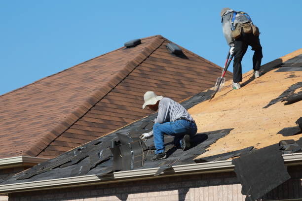 Best Siding  in Rockville, MN