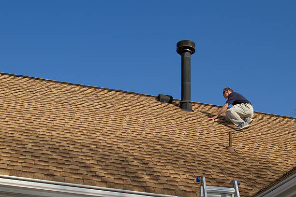 Best Roof Moss and Algae Removal  in Rockville, MN